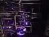 Un laser violet permet de faire flotter les atomes en état quantique et de mesurer leur état. © Victoria Xu